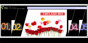 横向切换产品展示flas素材